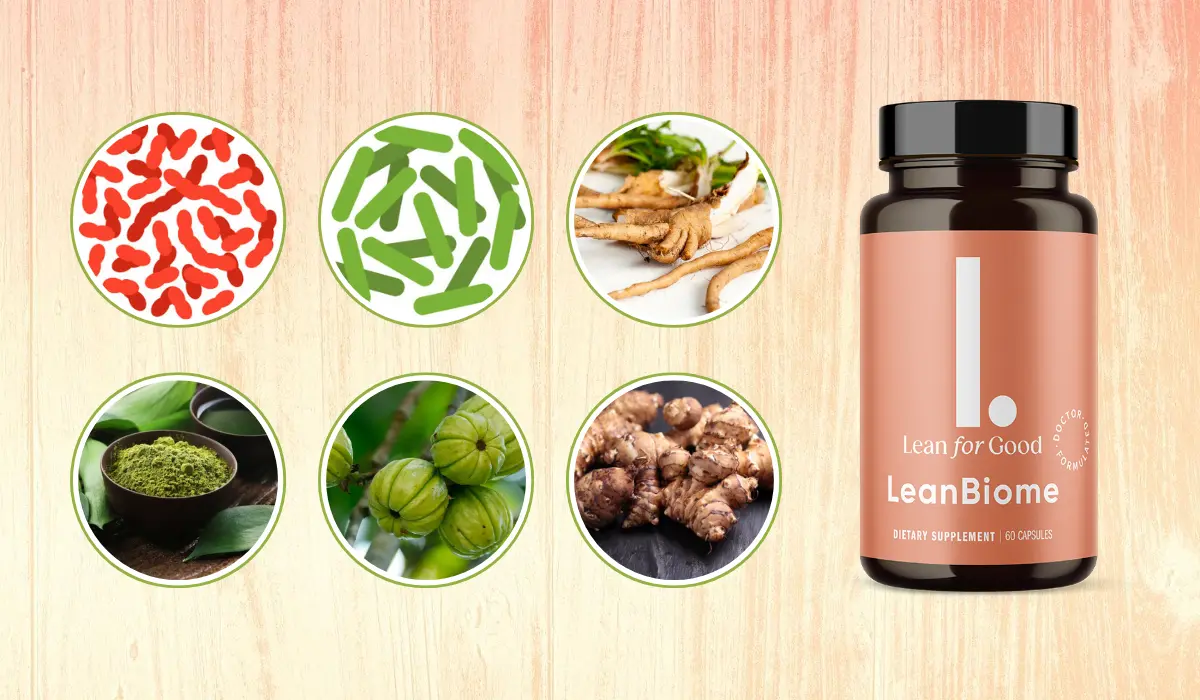 LeanBiome ingredients including probiotic strains, chicory root, green tea extract and botanical extracts