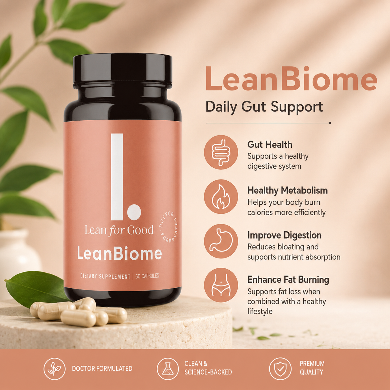 LeanBiome daily gut support: gut health, healthy metabolism, improved digestion and fat burning support